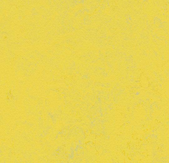 Линолеум Forbo Marmoleum Solid Concrete 3741/374135 yellow glow
