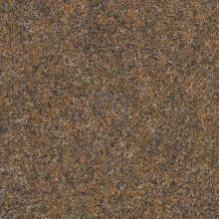 Ковролин Forbo Forte Color 96005